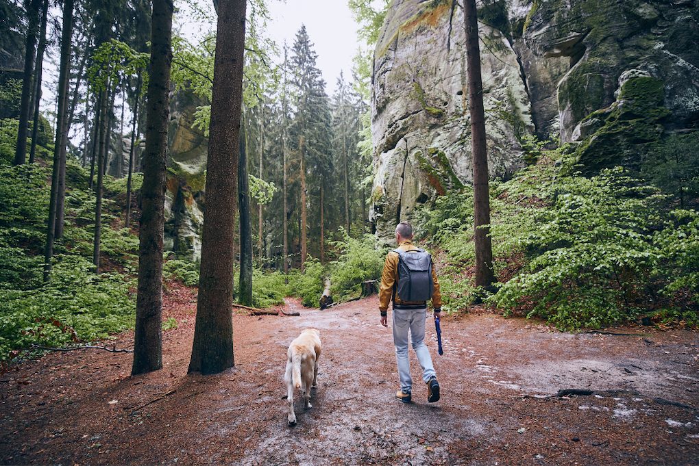 Oou partir en vacances avec son chien en france