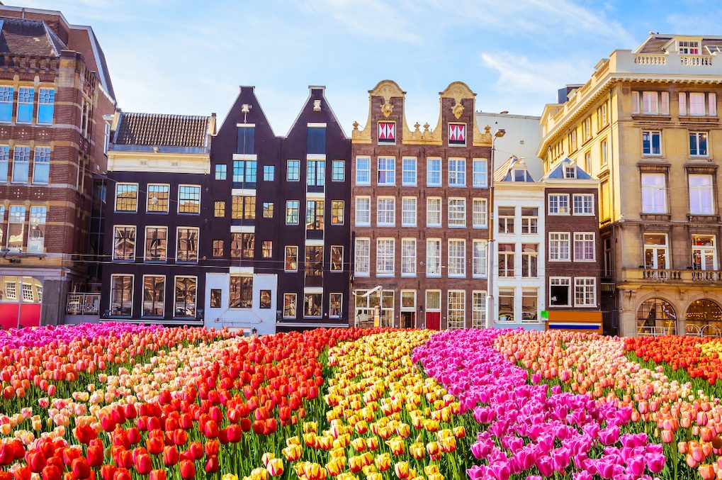 que faire a amsterdam pass ville