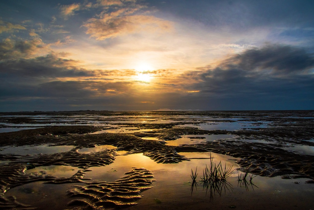 que faire baie de somme