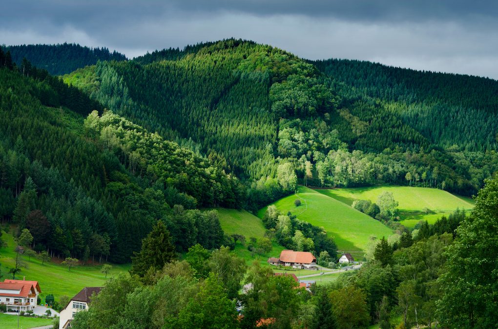 foret noire allemagne