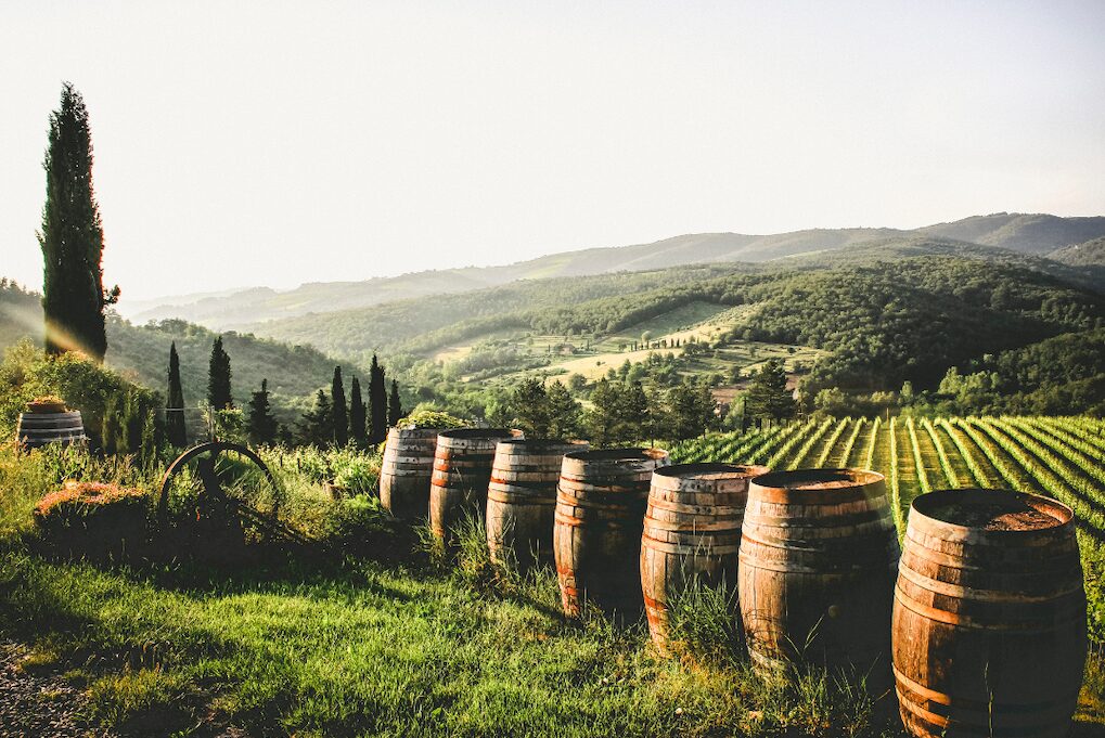 degustation vin rome