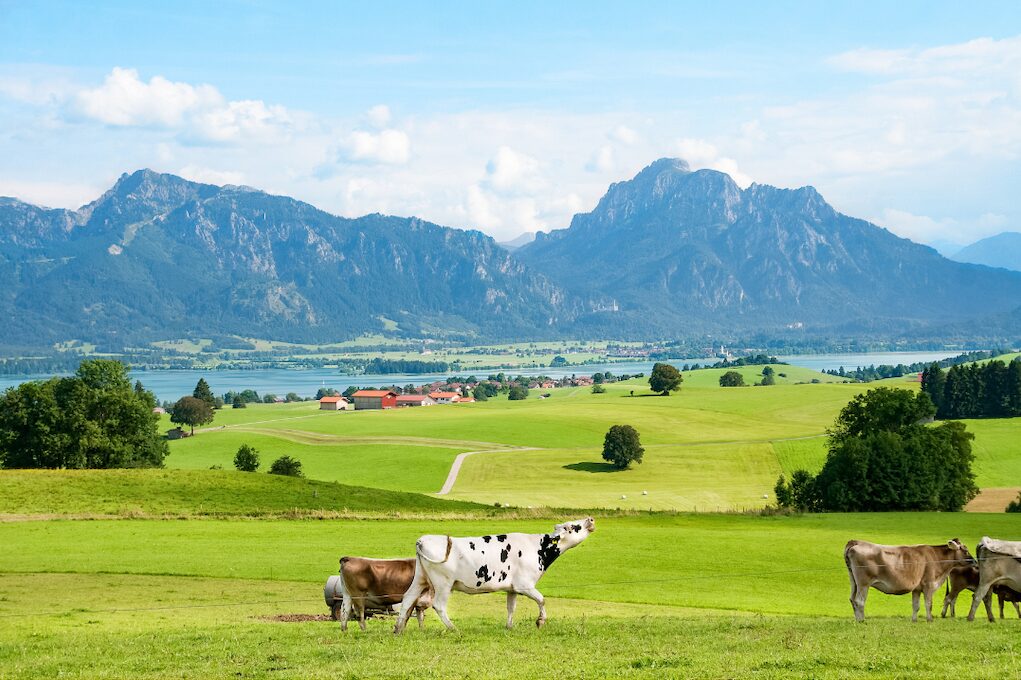 visiter la baviere allemagne