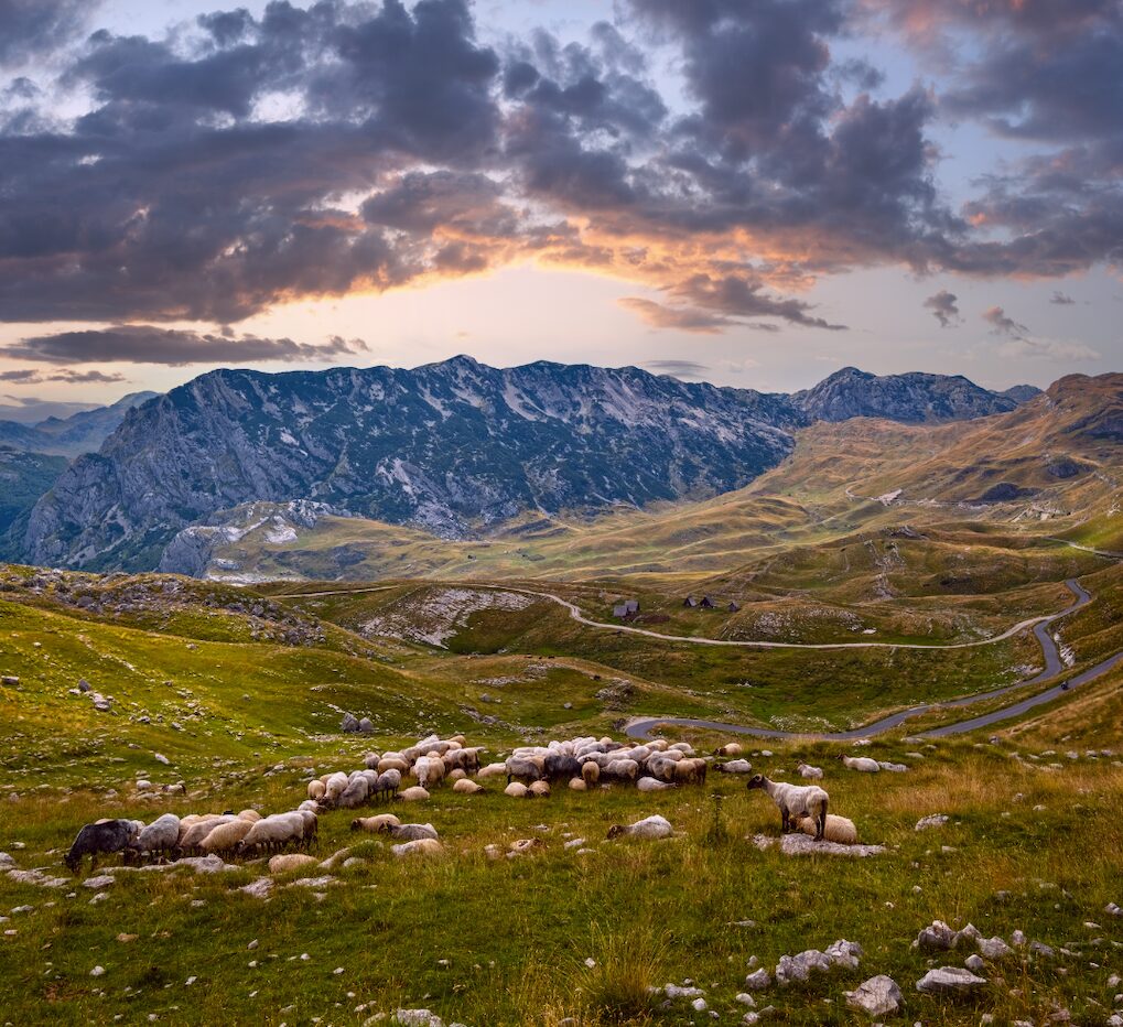 road trip montenegro durmitor