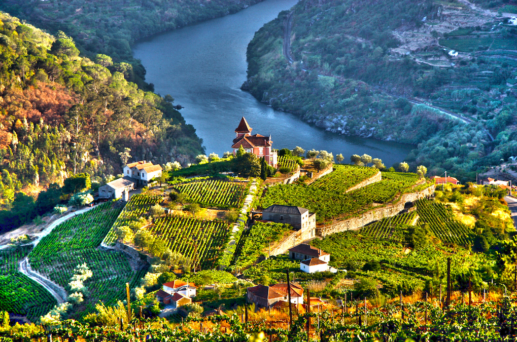 vallee du douro