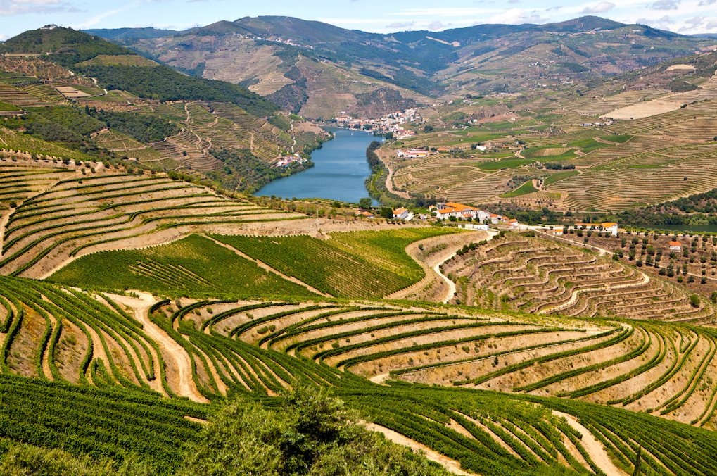 vallee du douro dégustation vin