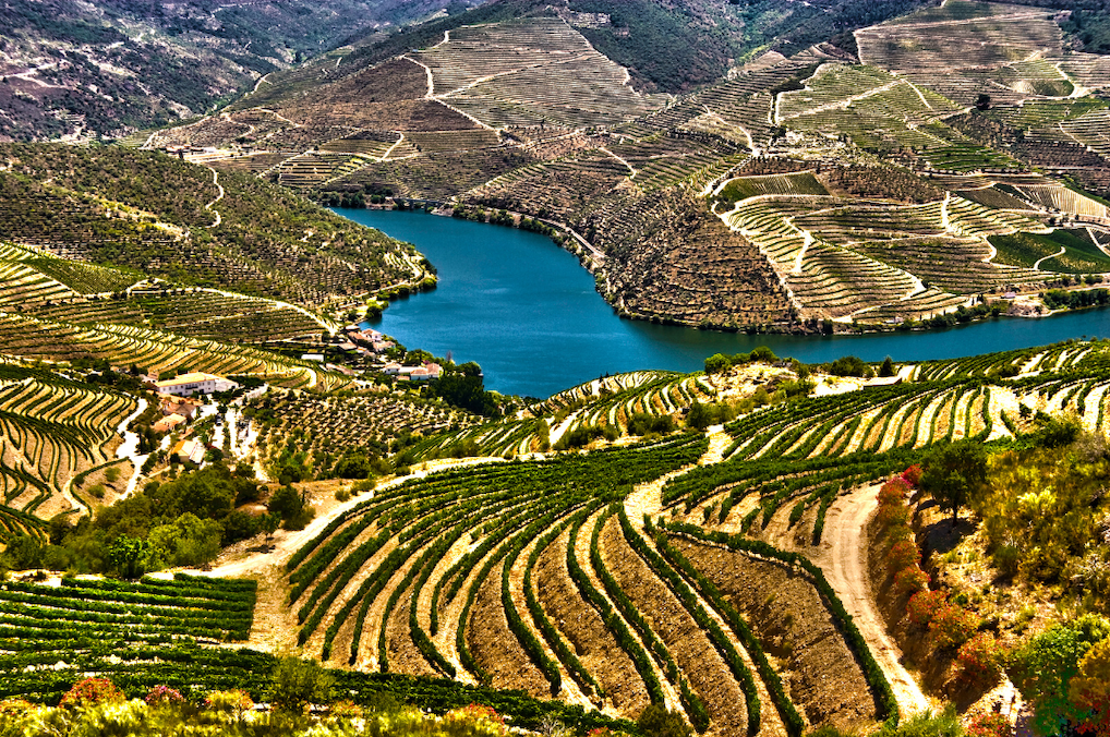 vallee du douro gastronomie
